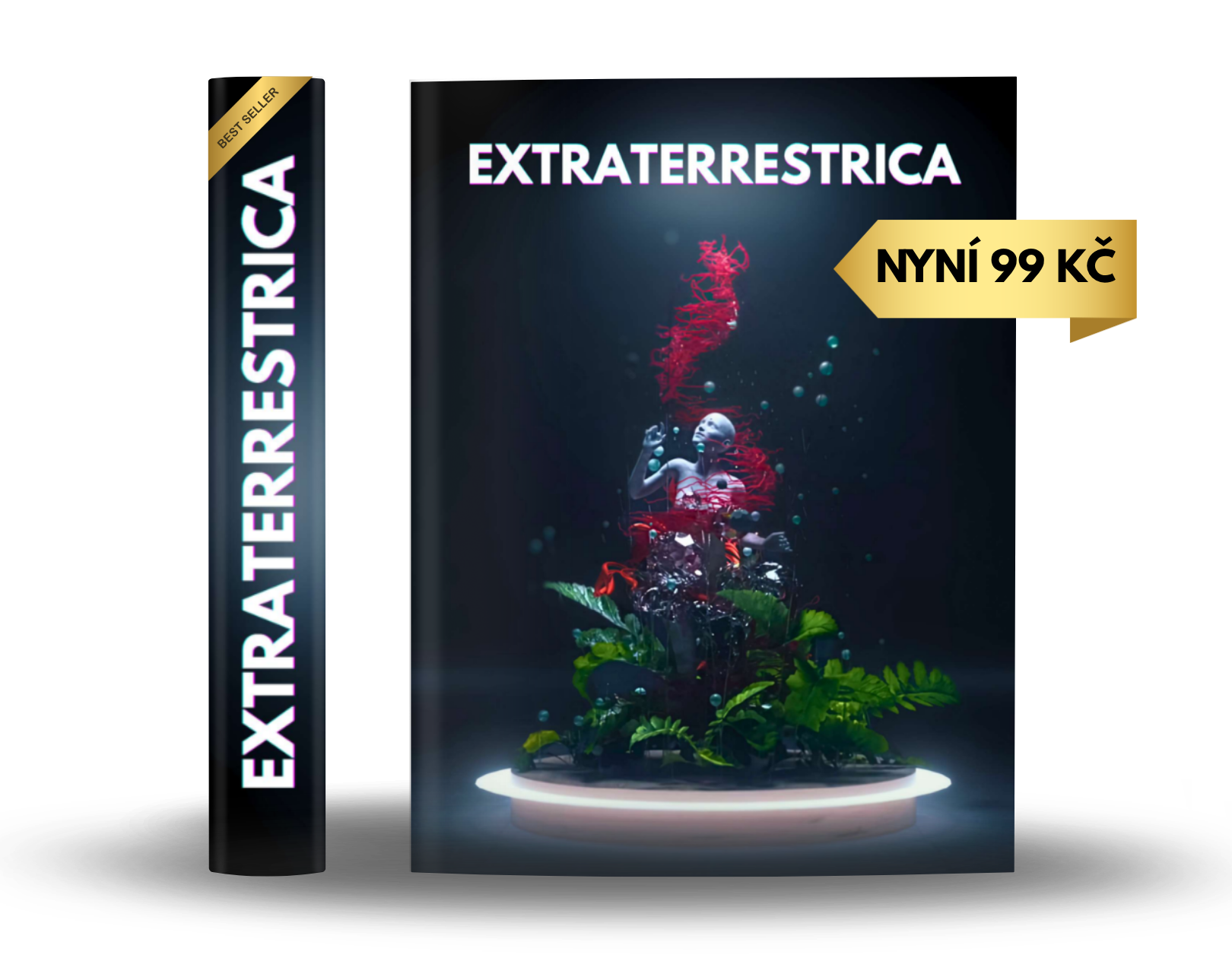 Kopie navrhu Blue Soft Book Cover Mockup Pinterest Pin 1000 x 1000 px Prispevek na Instagramu 4 5 e1762258731702